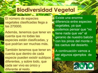 Según la tradición romana, el origen del antiguo calendario se debió al rey Rómulo. El calendario romano fijaba la duración de los meses en 29 días, 12 horas y 44 minutos con meses lunares de 29 ó 30 días; los romanos consideraban que el día se iniciaba a medianoche. ORIGEN   