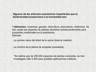 Algunos de los artículos económicos importantes que la
biodiversidad proporciona a la humanidad son:
1.Alimentos: cosechas, ganado, silvicultura, piscicultura, medicinas. Se
han usado las especies de plantas silvestres subsecuentemente para
propósitos medicinales en la prehistoria.
Ejemplo:
.La quinina viene del árbol de la quina (trata la malaria)
.La morfina de la planta de amapola (anestesia).
*Se estima que de 250.000 especies de plantas conocidas, se han
investigado sólo 5.000 para posibles aplicaciones médicas.
 