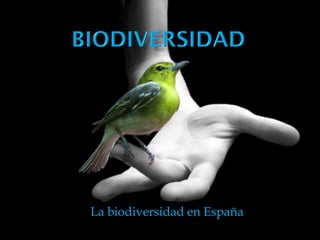 Biodiversidad 2009