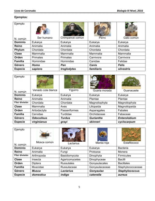 Liceo de Coronado Biología XI Nivel, 2016
5
Ejemplos:
Ejemplo
N. común Ser humano Chimpancé común Perro Gato común
Dominio Eukarya Eukarya Eukarya Eukarya
Reino Animalia Animalia Animalia Animalia
Phylum Chordata Chordata Chordata Chordata
Clase Mammalia Mammalia Mammalia Mammalia
Orden Primates Primates Carnivora Carnivora
Familia Hominidae Hominidae Canidae Felidae
Género Homo Pan Canis Felis
Especie sapiens troglodytes familiaris silvestris
Ejemplo
N. común
Venado cola blanca Yigüirro Guaria morada Guanacaste
Dominio Eukarya Eukarya Eukarya Eukarya
Reino Animalia Animalia Plantae Plantae
Filo/ división Chordata Chordata Magnoliophyta Magnoliophyta
Clase Mammalia Aves Liliopsida Magnoliopsida
Orden Artiodactyla Passeriformes Asparagales Fabales
Familia Cervidae Turdidae Orchidaceae Fabaceae
Género Odocoileus Turdus Gurianthe Enterolobium
Especie virginianus grayi skinneri cyclocarpum
Ejemplo
N. común
Mosca común Lactarius Marea roja Estafilococo
Dominio Eukarya Eukarya Eukarya Bacteria
Reino Animalia Fungi Protozoa Monera
Filo/ división Arthropoda Basidiomycota Dinophyta Firmicutes
Clase Insecta Agaricomycetes Dinophyceae Bacilli
Orden Diptera Russulales Gonyaulacales Bacillales
Familia Muscidae Russulaceae Gonyaulacaceae Staphylococcaceae
Género Musca Lactarius Gonyaulax Staphylococcus
Especie domestica indigo catenella aureus
 