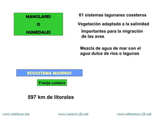 MANGLARES                   61 sistemas lagunares coseteros

                  O                    Vegetación adaptada a la salinidad
            HUMEDALES                    Importantes para la migración
                                         de las aves

                                         Mezcla de agua de mar con el
                                         agua dulce de ríos o lagunas



             ECOSISTEMA MARINOS

                  Franja costera


             597 km de litorales


www.stake.eu.kz             www.icagra.cjb.net           www.calasanz.cjb.net
 