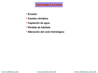 DEFORESTACION

                   Erosión
                   Cambio climático
                   Captación de agua
                   Pérdida de hábitats
                   Alteración del ciclo hidrológico




www.stake.eu.kz            www.icagra.cjb.net          www.calasanz.cjb.net
 
