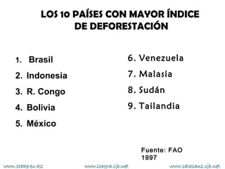 LOS 10 PAÍSES CON MAYOR ÍNDICE
                     DE DEFORESTACIÓN


    1. Brasil                          6. Venezuela

    2. Indonesia                       7. Malasia

    3. R. Congo                        8. Sudán

    4. Bolivia                         9. Tailandia

    5. México

                                           Fuente: FAO
                                           1997
www.stake.eu.kz       www.icagra.cjb.net          www.calasanz.cjb.net
 