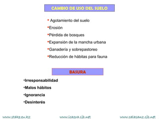 CAMBIO DE USO DEL SUELO

                          Agotamiento del suelo
                         Erosión
                         Pérdida de bosques
                         Expansión de la mancha urbana
                         Ganadería y sobrepastoreo
                         Reducción de hábitas para fauna



                                     BASURA
           •Irresponsabilidad
           •Malos hábitos
           •Ignorancia
           •Desinterés


www.stake.eu.kz                 www.icagra.cjb.net          www.calasanz.cjb.net
 