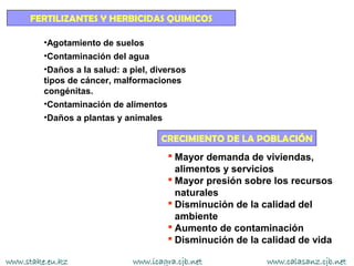 FERTILIZANTES Y HERBICIDAS QUIMICOS

         •Agotamiento de suelos
         •Contaminación del agua
         •Daños a la salud: a piel, diversos
         tipos de cáncer, malformaciones
         congénitas.
         •Contaminación de alimentos
         •Daños a plantas y animales

                                     CRECIMIENTO DE LA POBLACIÓN
                                        Mayor demanda de viviendas,
                                         alimentos y servicios
                                        Mayor presión sobre los recursos
                                         naturales
                                        Disminución de la calidad del
                                         ambiente
                                        Aumento de contaminación
                                        Disminución de la calidad de vida

www.stake.eu.kz               www.icagra.cjb.net            www.calasanz.cjb.net
 