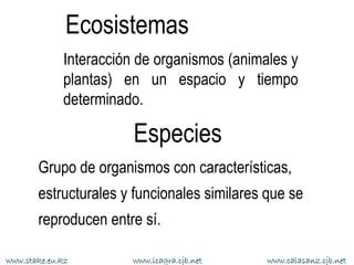 Ecosistemas
             Interacción de organismos (animales y
             plantas) en un espacio y tiempo
             determinado.

                        Especies
       Grupo de organismos con características,
       estructurales y funcionales similares que se
       reproducen entre sí.

www.stake.eu.kz        www.icagra.cjb.net    www.calasanz.cjb.net
 