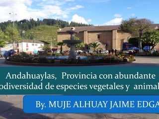 Andahuaylas, Provincia con abundante
odiversidad de especies vegetales y animal
By. MUJE ALHUAY JAIME EDGA
 
