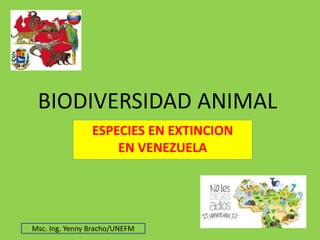 BIODIVERSIDAD ANIMAL
ESPECIES EN EXTINCION
EN VENEZUELA
Msc. Ing. Yenny Bracho/UNEFM
 