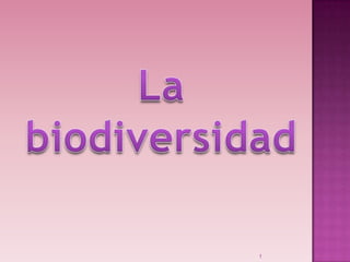 1 La biodiversidad 