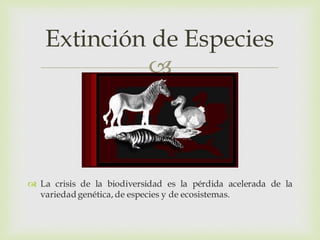 
 La crisis de la biodiversidad es la pérdida acelerada de la
variedadgenética, de especies y de ecosistemas.
Extinción de Especies
 