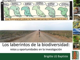 Los laberintos de la biodiversidad:
retos y oportunidades en la investigación
Brigitte LG Baptiste
 