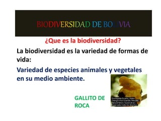 BIODIVERSIDAD DE BOLIVIA
¿Que es la biodiversidad?
La biodiversidad es la variedad de formas de
vida:
Variedad de especies animales y vegetales
en su medio ambiente.
GALLITO DE
ROCA
 