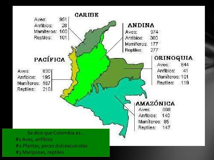 Mapa De La Biodiversidad De Colombia fectim.loona.design