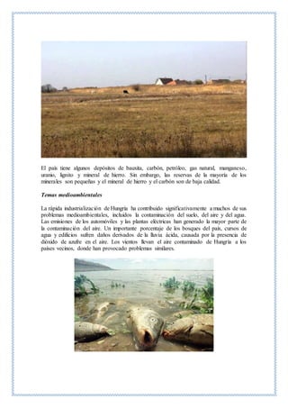El país tiene algunos depósitos de bauxita, carbón, petróleo, gas natural, manganeso,
uranio, lignito y mineral de hierro. Sin embargo, las reservas de la mayoría de los
minerales son pequeñas y el mineral de hierro y el carbón son de baja calidad.
Temas medioambientales
La rápida industrialización de Hungría ha contribuido significativamente a muchos de sus
problemas medioambientales, incluidos la contaminación del suelo, del aire y del agua.
Las emisiones de los automóviles y las plantas eléctricas han generado la mayor parte de
la contaminación del aire. Un importante porcentaje de los bosques del país, cursos de
agua y edificios sufren daños derivados de la lluvia ácida, causada por la presencia de
dióxido de azufre en el aire. Los vientos llevan el aire contaminado de Hungría a los
países vecinos, donde han provocado problemas similares.
 