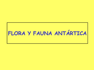 FLORA Y FAUNA ANTÁRTICA
 