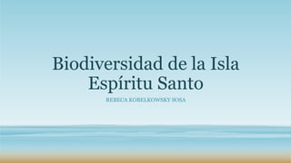 Biodiversidad de la Isla 
Espíritu Santo 
REBECA KOBELKOWSKY SOSA 
 