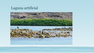 Laguna artificial 
 