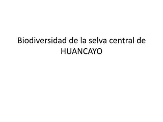 Biodiversidad de la selva central de
HUANCAYO
 