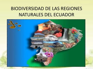 BIODIVERSIDAD DE LAS REGIONES
NATURALES DEL ECUADOR
 