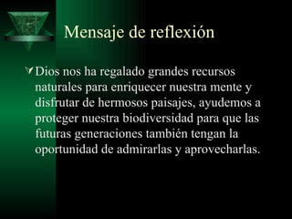 Mensaje de reflexión Dios nos ha regalado grandes recursos naturales para enriquecer nuestra mente y disfrutar de hermosos paisajes, ayudemos a proteger nuestra biodiversidad para que las futuras generaciones también tengan la oportunidad de admirarlas y aprovecharlas.