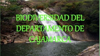 BIODIVERSIDAD DEL
DEPARTAMENTO DE
CAJAMARCA
 