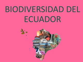 BIODIVERSIDAD DEL
ECUADOR
 