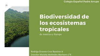 Biodiversidad de
los ecosistemas
tropicales
de América y Europa
01
Rodrigo Ernesto Cruz Ramírez &
Jennifer Mariela Meléndez Marinero 2ºE
Colegio Español Padre Arrupe
 