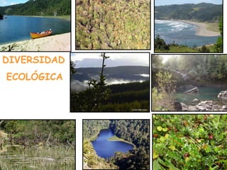 DIVERSIDAD
ECOLÓGICA
 