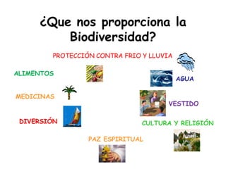 ¿Que nos proporciona la
Biodiversidad?
PROTECCIÓN CONTRA FRIO Y LLUVIA
ALIMENTOS
AGUA
MEDICINAS
VESTIDO
DIVERSIÓN CULTURA Y RELIGIÓN
PAZ ESPIRITUAL
 