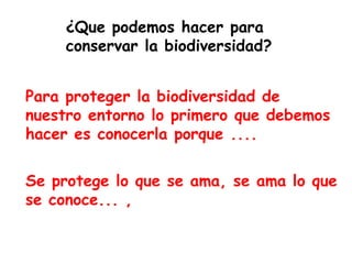 ¿Que podemos hacer para
conservar la biodiversidad?
Para proteger la biodiversidad de
nuestro entorno lo primero que debemos
hacer es conocerla porque ....
Se protege lo que se ama, se ama lo que
se conoce... ,
 