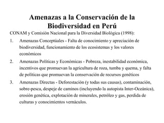 Amenazas a la Conservación de la
Biodiversidad en Perú
CONAM y Comisión Nacional para la Diversidad Biológica (1998):
1. Amenazas Conceptúales - Falta de conocimiento y apreciación de
biodiversidad, funcionamiento de los ecosistemas y los valores
económicos
2. Amenazas Políticas y Económicas - Pobreza, inestabilidad económica,
incentivos que promuevan la agricultura de roza, tumba y quema, y falta
de políticas que promuevan la conservación de recursos genéticos
3. Amenazas Directas - Deforestación (y todas sus causas), contaminación,
sobre-pesca, despeje de caminos (incluyendo la autopista Inter-Oceánica),
erosión genética, explotación de minerales, petróleo y gas, perdida de
culturas y conocimientos vernáculos.
 