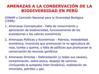 AMENAZAS A LA CONSERVACIÓN DE LA
BIODIVERSIDAD EN PERÚ
CONAM y Comisión Nacional para la Diversidad Biológica
(1998):
1. Amenazas Conceptuales - Falta de conocimiento y
apreciación de biodiversidad, funcionamiento de los
ecosistemas y los valores económicos
2. Amenazas Políticas y Económicas - Pobreza, inestabilidad
económica, incentivos que promuevan la no agricultura de
roza, tumba y quema, y falta de políticas que promuevan la
conservación de recursos genéticos
3. Amenazas Directas - Deforestación (y todas sus causas),
contaminación, sobre-pesca, despeje de caminos
(incluyendo la autopista Inter-Oceánica), explotación de
minerales, petróleo y gas.
 