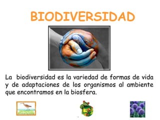 BIODIVERSIDAD
La biodiversidad es la variedad de formas de vida
y de adaptaciones de los organismos al ambiente
que encontramos en la biosfera.
 