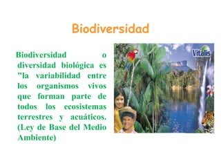 Biodiversidad
Biodiversidad o
diversidad biológica es
"la variabilidad entre
los organismos vivos
que forman parte de
todos los ecosistemas
terrestres y acuáticos.
(Ley de Base del Medio
Ambiente)
 