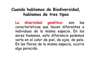 Cuando hablamos de Biodiversidad,
hablamos de tres tipos
La diversidad genética: son las
características que hacen diferentes a
individuos de la misma especie. En los
seres humanos, esta diferencia podemos
verla en el color de piel, de ojos, de pelo.
En las flores de la misma especie, ocurre
algo parecido.
 