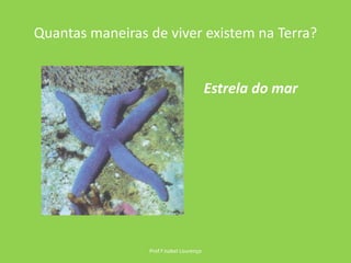 Quantas maneiras de viver existem na Terra?Prof.ª Isabel LourençoEstrela do mar