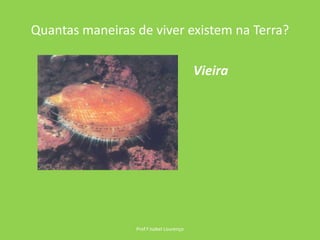 Quantas maneiras de viver existem na Terra?Prof.ª Isabel LourençoVieira