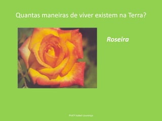 Quantas maneiras de viver existem na Terra?Prof.ª Isabel LourençoRoseira