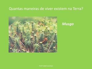 Quantas maneiras de viver existem na Terra?Prof.ª Isabel LourençoMusgo