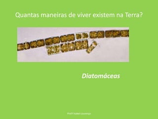 Quantas maneiras de viver existem na Terra?Prof.ª Isabel LourençoDiatomáceas