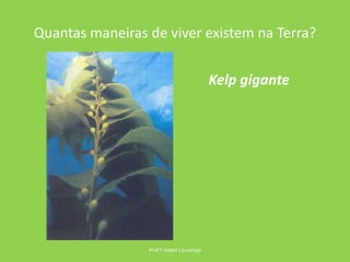 Quantas maneiras de viver existem na Terra?Prof.ª Isabel LourençoKelp gigante