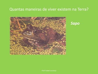Quantas maneiras de viver existem na Terra?Prof.ª Isabel LourençoSapo