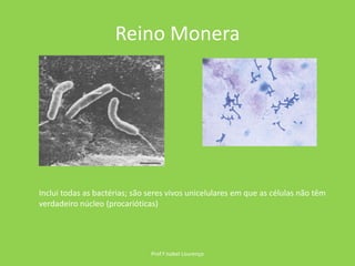 Reino MoneraProf.ª Isabel LourençoInclui todas as bactérias; são seres vivos unicelulares em que as células não têm verdadeiro núcleo (procarióticas)