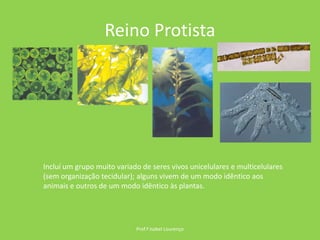 Reino ProtistaProf.ª Isabel LourençoIncluí um grupo muito variado de seres vivos unicelulares e multicelulares (sem organização tecidular); alguns vivem de um modo idêntico aos animais e outros de um modo idêntico às plantas.
