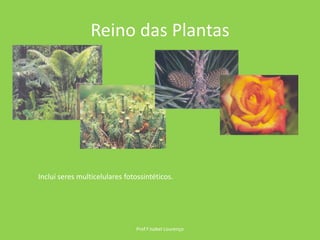 Reino das PlantasProf.ª Isabel LourençoIncluí seres multicelulares fotossintéticos.
