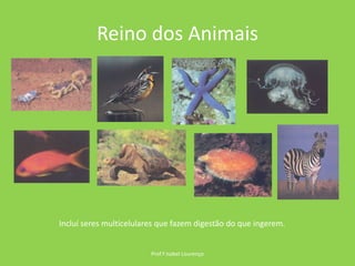 Reino dos AnimaisProf.ª Isabel LourençoIncluí seres multicelulares que fazem digestão do que ingerem.