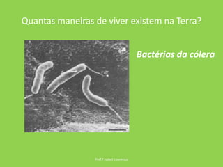 Quantas maneiras de viver existem na Terra?Prof.ª Isabel LourençoBactérias da cólera