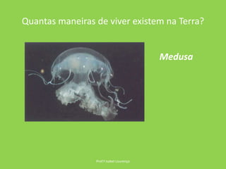 Quantas maneiras de viver existem na Terra?Prof.ª Isabel LourençoMedusa