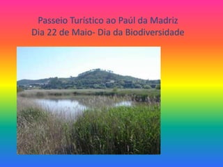 Passeio Turístico ao Paúl da MadrizDia 22 de Maio- Dia da Biodiversidade 