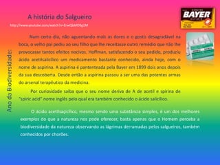 A história do Salgueirohttp://www.youtube.com/watch?v=ErwQbMO9g1MNum certo dia, não aguentando mais as dores e o gosto desagradável na boca, o velho pai pediu ao seu filho que lhe receitasse outro remédio que não lhe provocasse tantos efeitos nocivos. Hoffman, satisfazendo o seu pedido, produziu ácido acetilsalicílico um medicamento bastante conhecido, ainda hoje, com o nome de aspirina. A aspirina é pantenteada pela Bayer em 1899 dois anos depois da sua descoberta. Desde então a aspirina passou a ser uma das potentes armas do arsenal terapêutico da medicina. Por curiosidade saiba que o seu nome deriva de A de acetil e spirina de “spiricacid” nome inglês pelo qual era também conhecido o ácido salicílico.Ano da Biodiversidade:O ácido acetilsaçicílico, mesmo sendo uma substância simples, é um dos melhores exemplos do que a natureza nos pode oferecer, basta apenas que o Homem perceba a biodiversidade da natureza observando as lágrimas derramadas pelos salgueiros, também conhecidos por chorões.